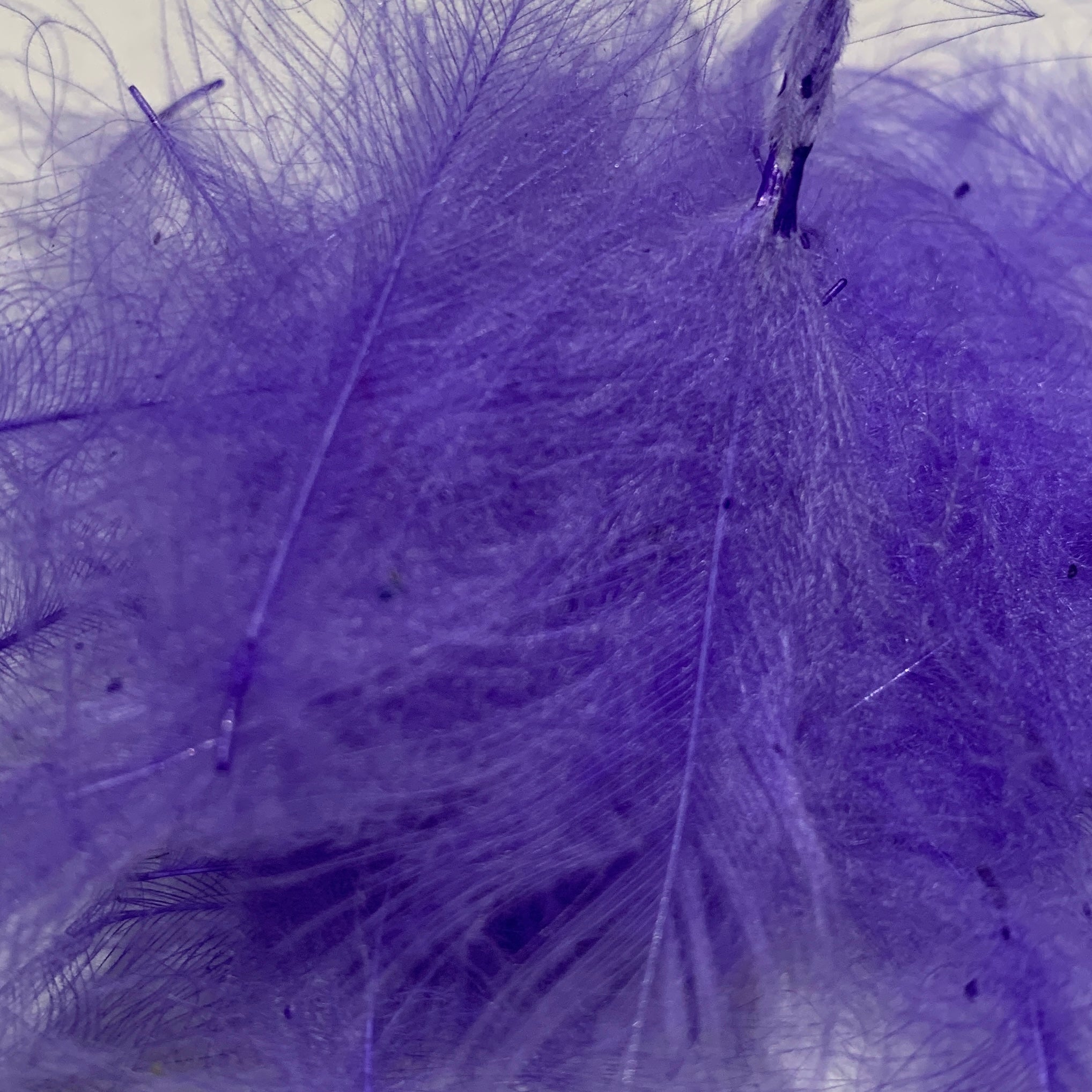Swiss CDC Standard Grade - Feathers & Marabou - Fly Fish Food