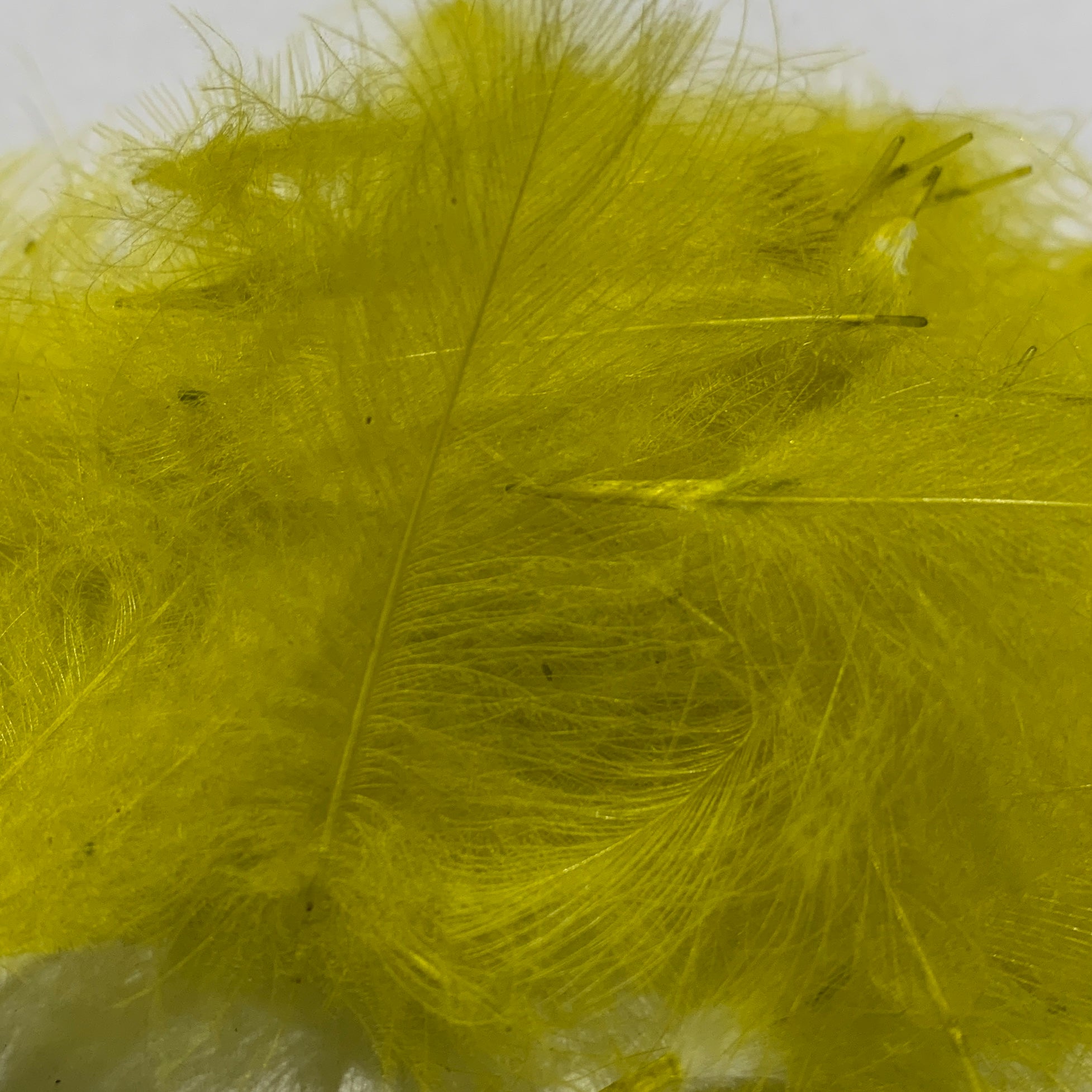 Swiss CDC Standard Grade - Feathers & Marabou - Fly Fish Food