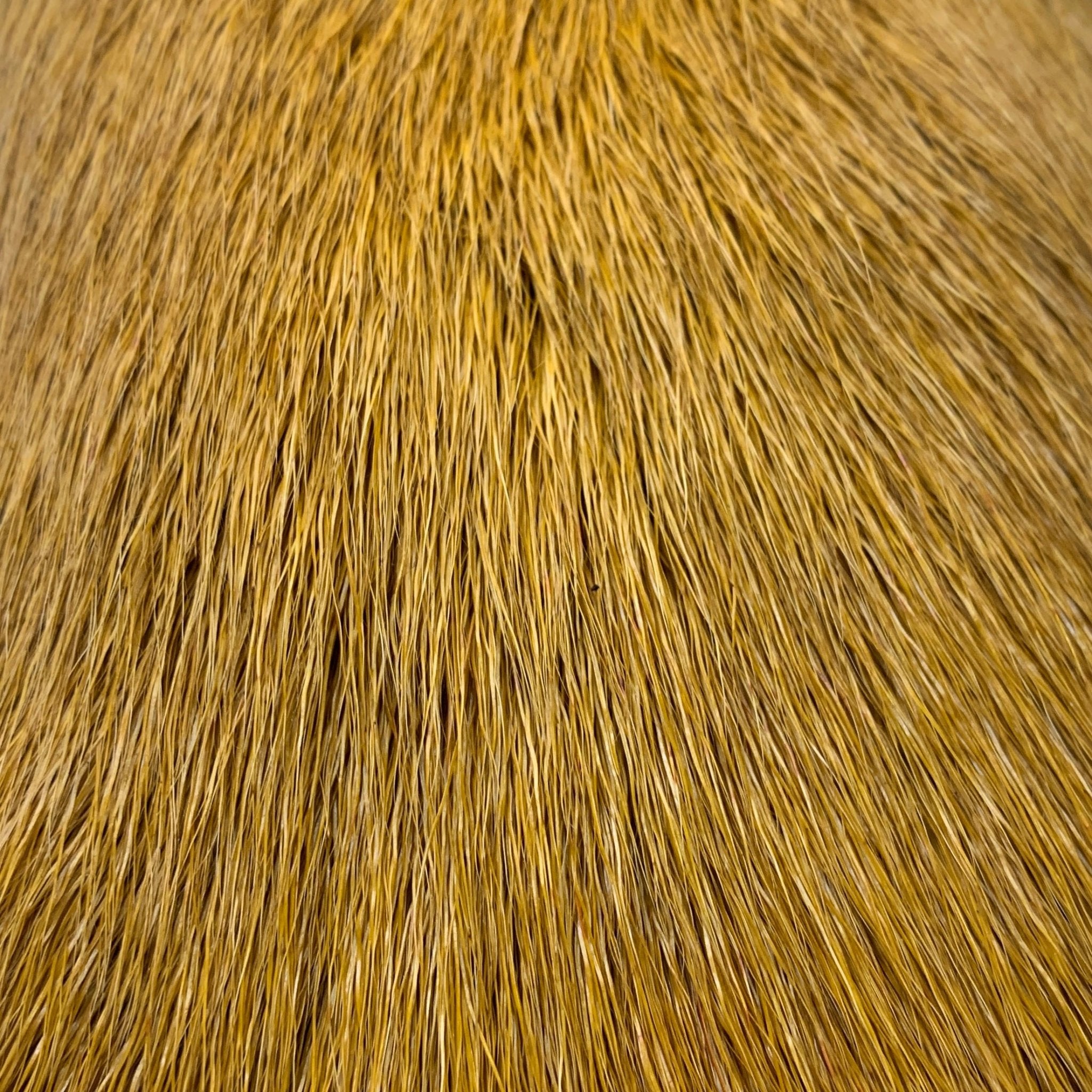Deer Belly Hair - Hair & Fur - Fly Fish Food