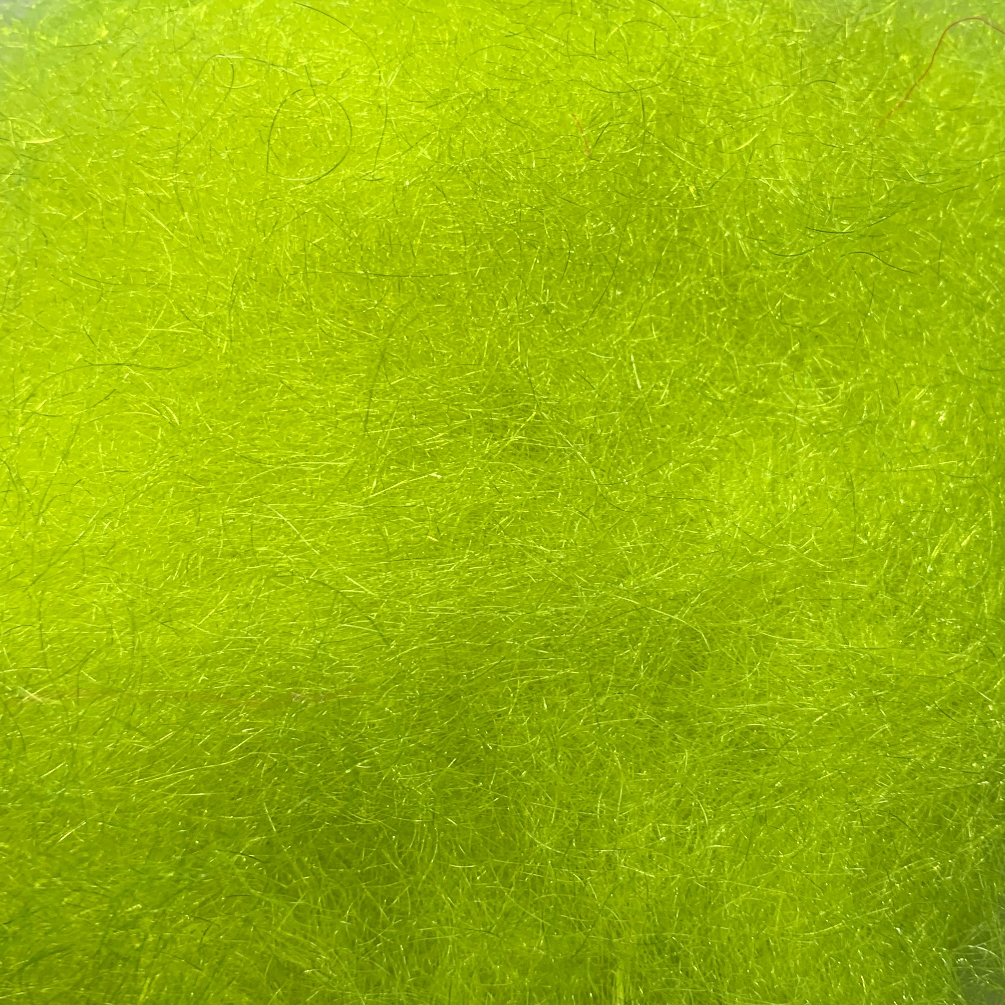 STS Trilobal Dubbing - Dubbing - Fly Fish Food