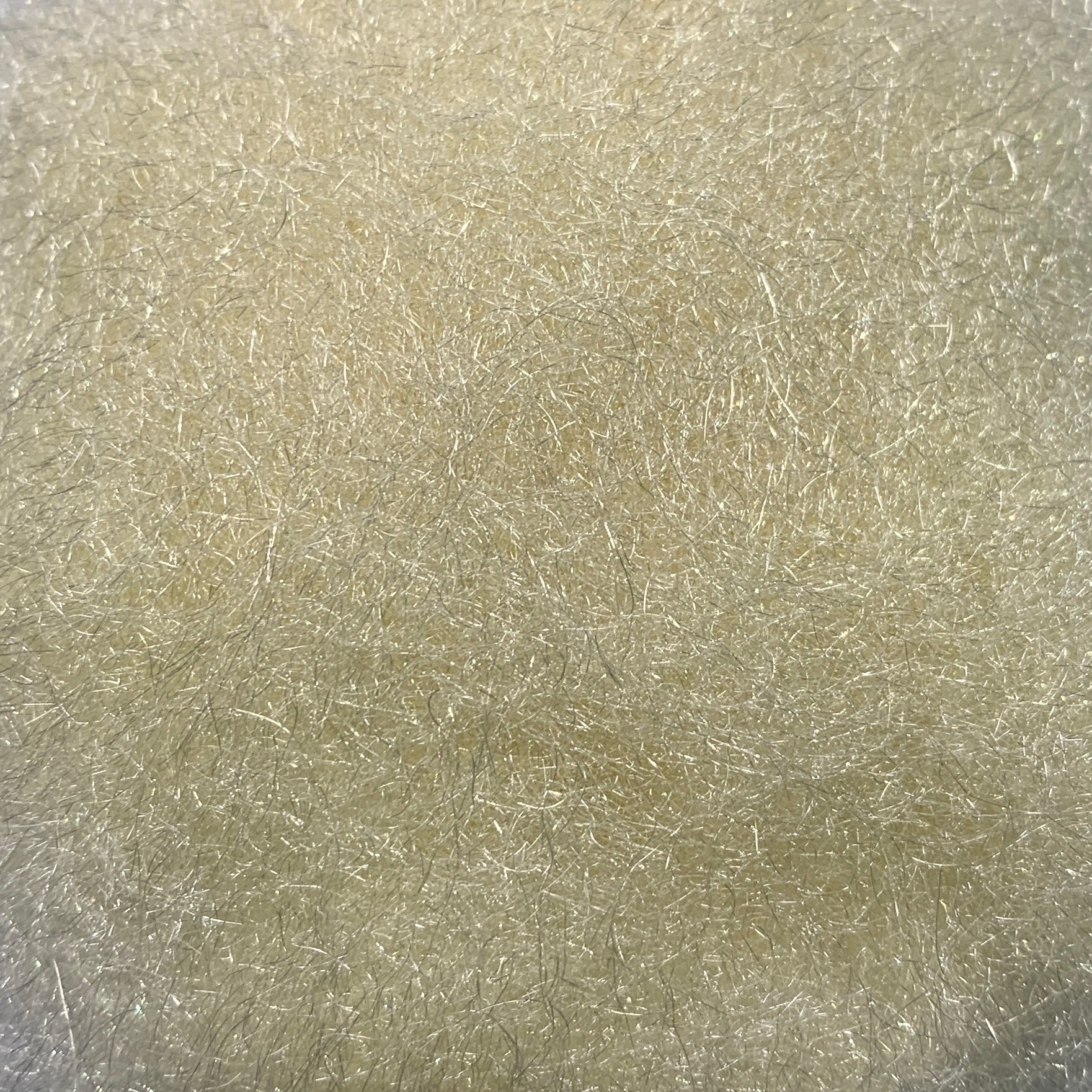 STS Trilobal Dubbing - Dubbing - Fly Fish Food