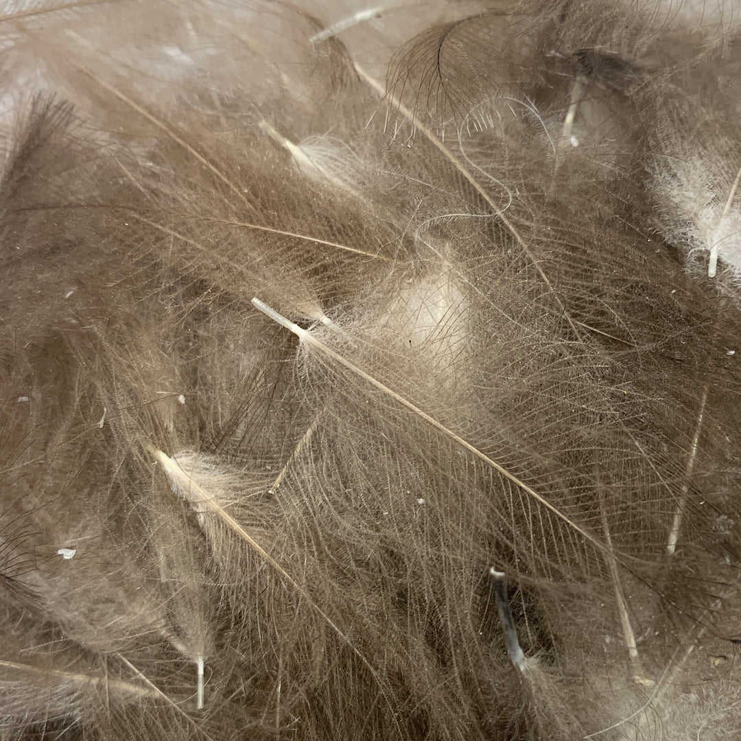 Swiss CDC Super Select Grade - Feathers &amp; Marabou - Fly Fish Food