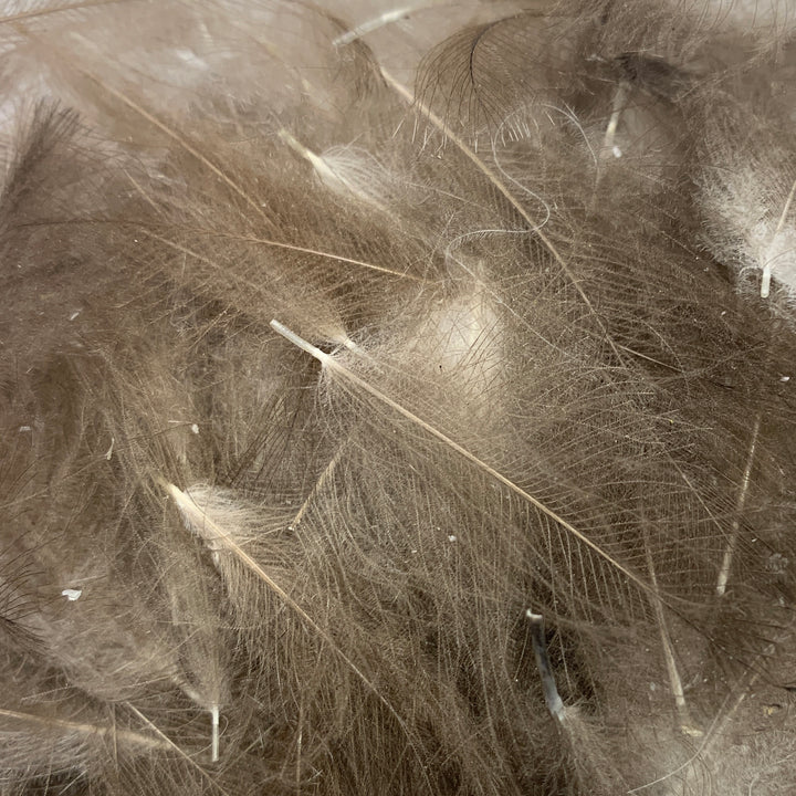 Swiss CDC Super Select Grade - Feathers &amp; Marabou - Fly Fish Food