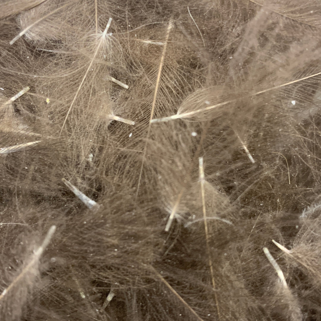 Swiss CDC Super Select Grade - Feathers &amp; Marabou - Fly Fish Food
