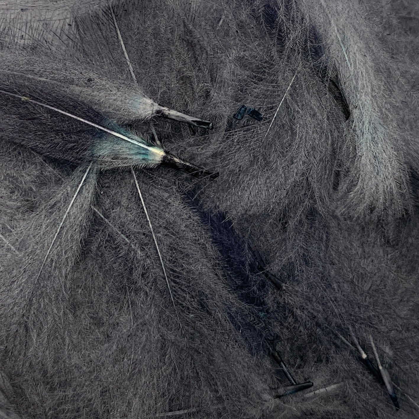 Swiss CDC Super Select Grade - Feathers & Marabou - Fly Fish Food