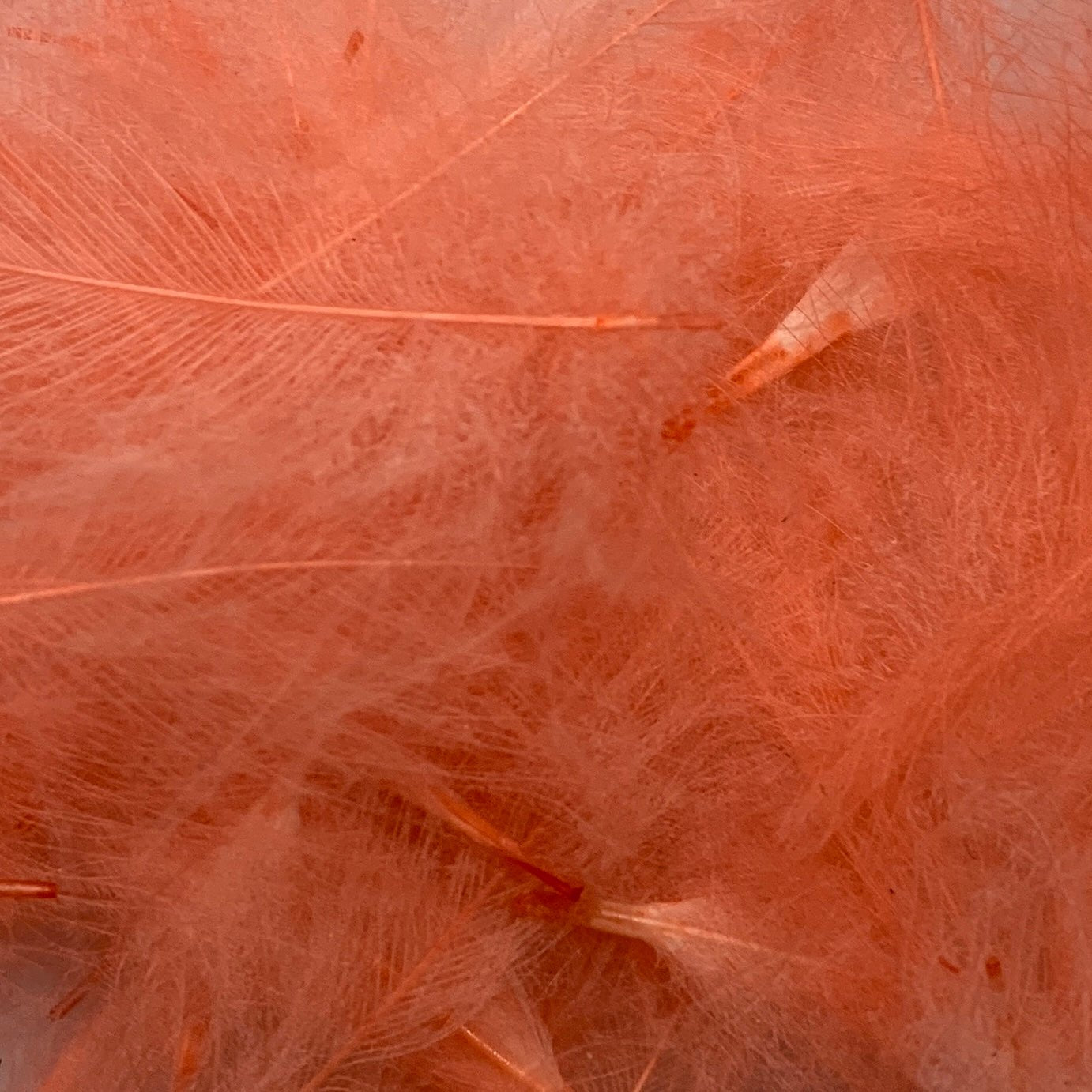 Swiss CDC Super Select Grade - Feathers & Marabou - Fly Fish Food