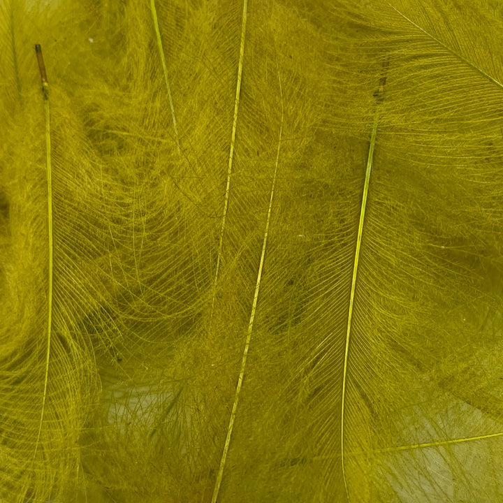 Swiss CDC Super Select Grade - Feathers &amp; Marabou - Fly Fish Food