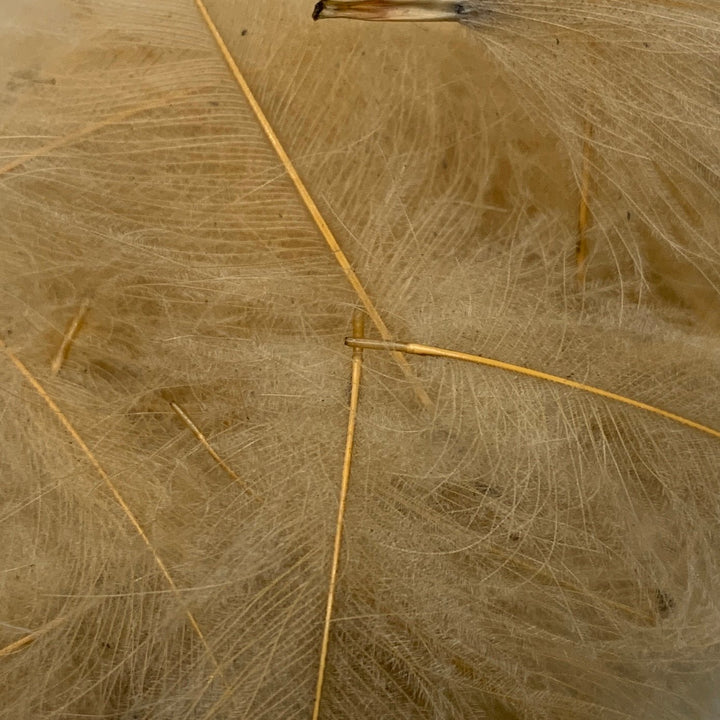 Swiss CDC Super Select Grade - Feathers &amp; Marabou - Fly Fish Food