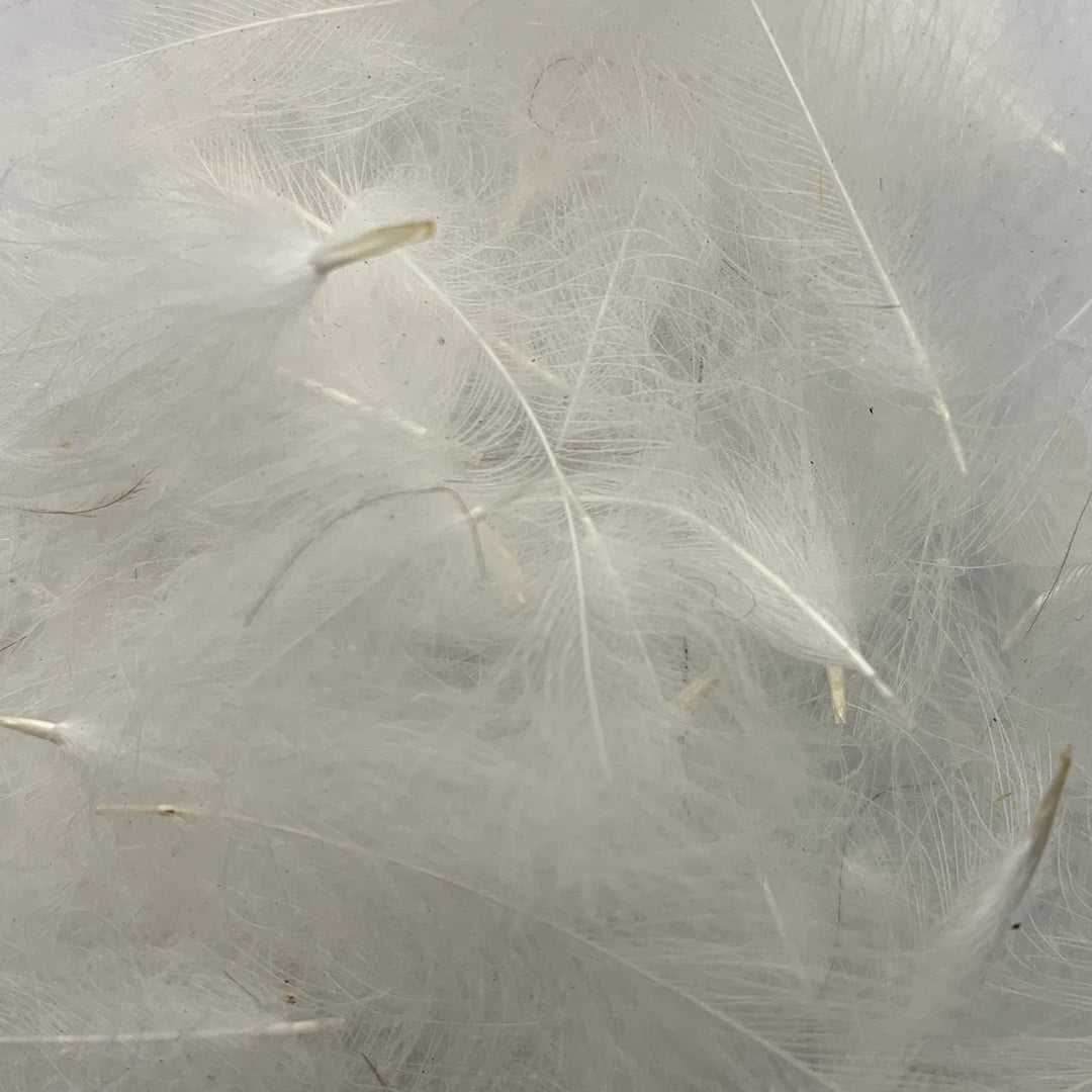 Swiss CDC Super Select Grade - Feathers &amp; Marabou - Fly Fish Food
