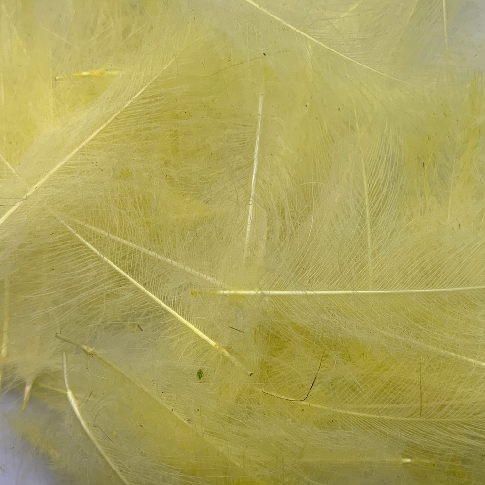 Swiss CDC Super Select Grade - Feathers & Marabou - Fly Fish Food