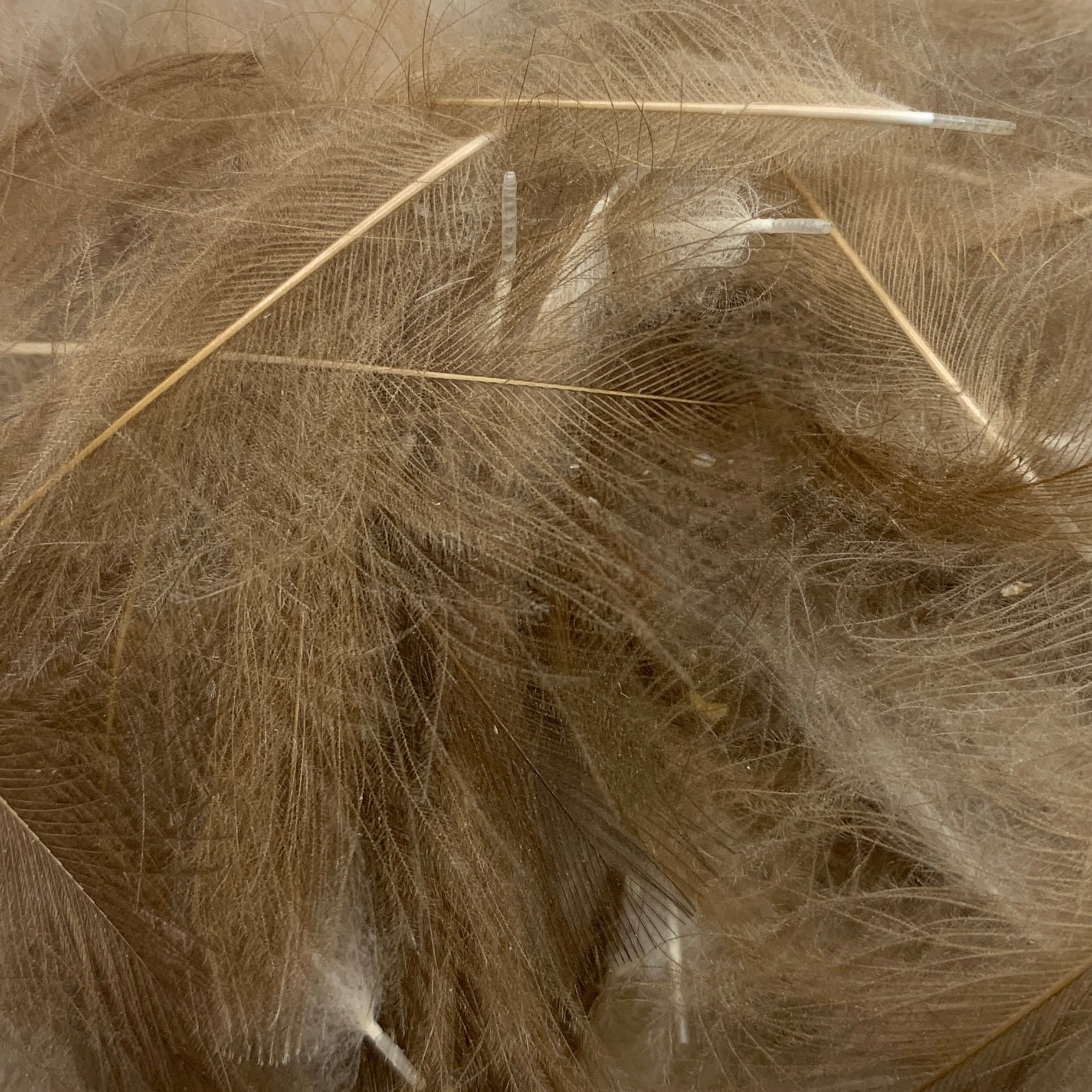 Swiss CDC Ultra Select XL Grade - Feathers & Marabou - Fly Fish Food