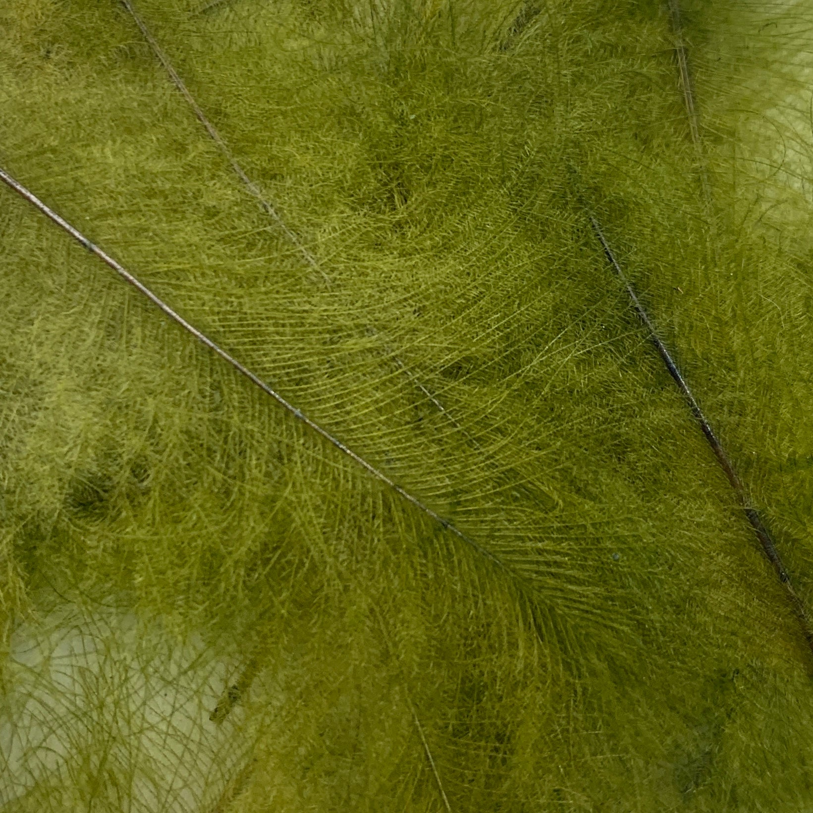 Swiss CDC Ultra Select XL Grade - Feathers & Marabou - Fly Fish Food