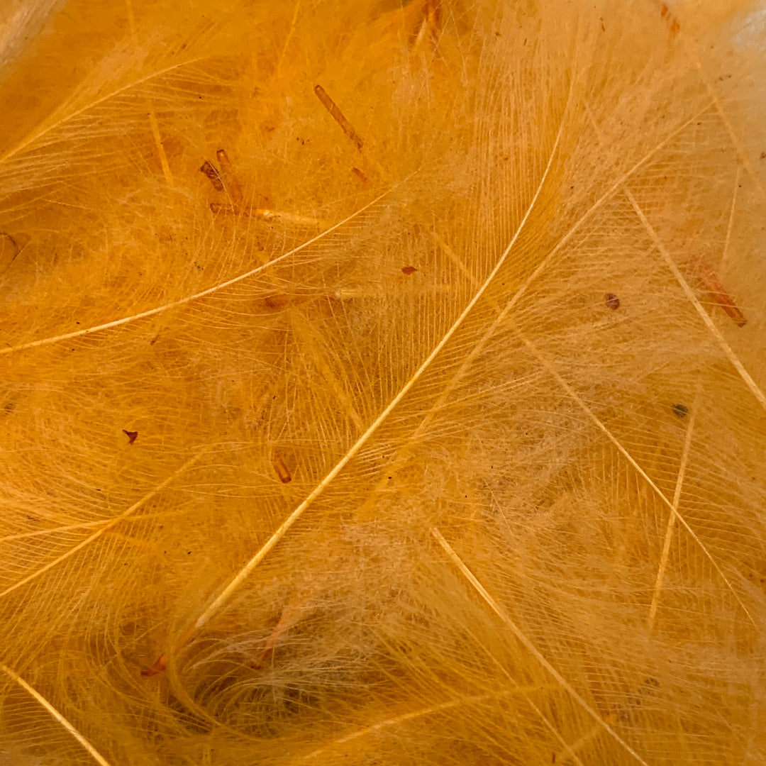 Swiss CDC Ultra Select XL Grade - Feathers &amp; Marabou - Fly Fish Food