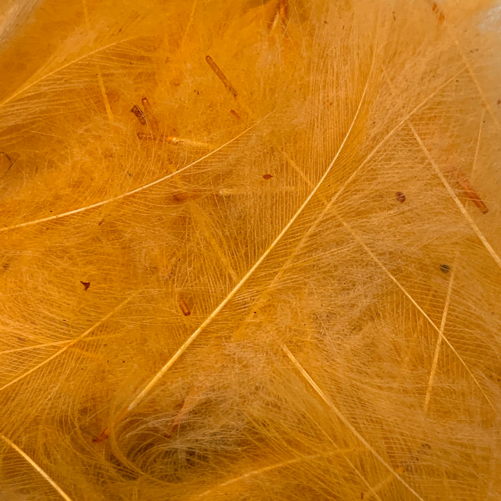 Swiss CDC Ultra Select XL Grade - Feathers &amp; Marabou - Fly Fish Food