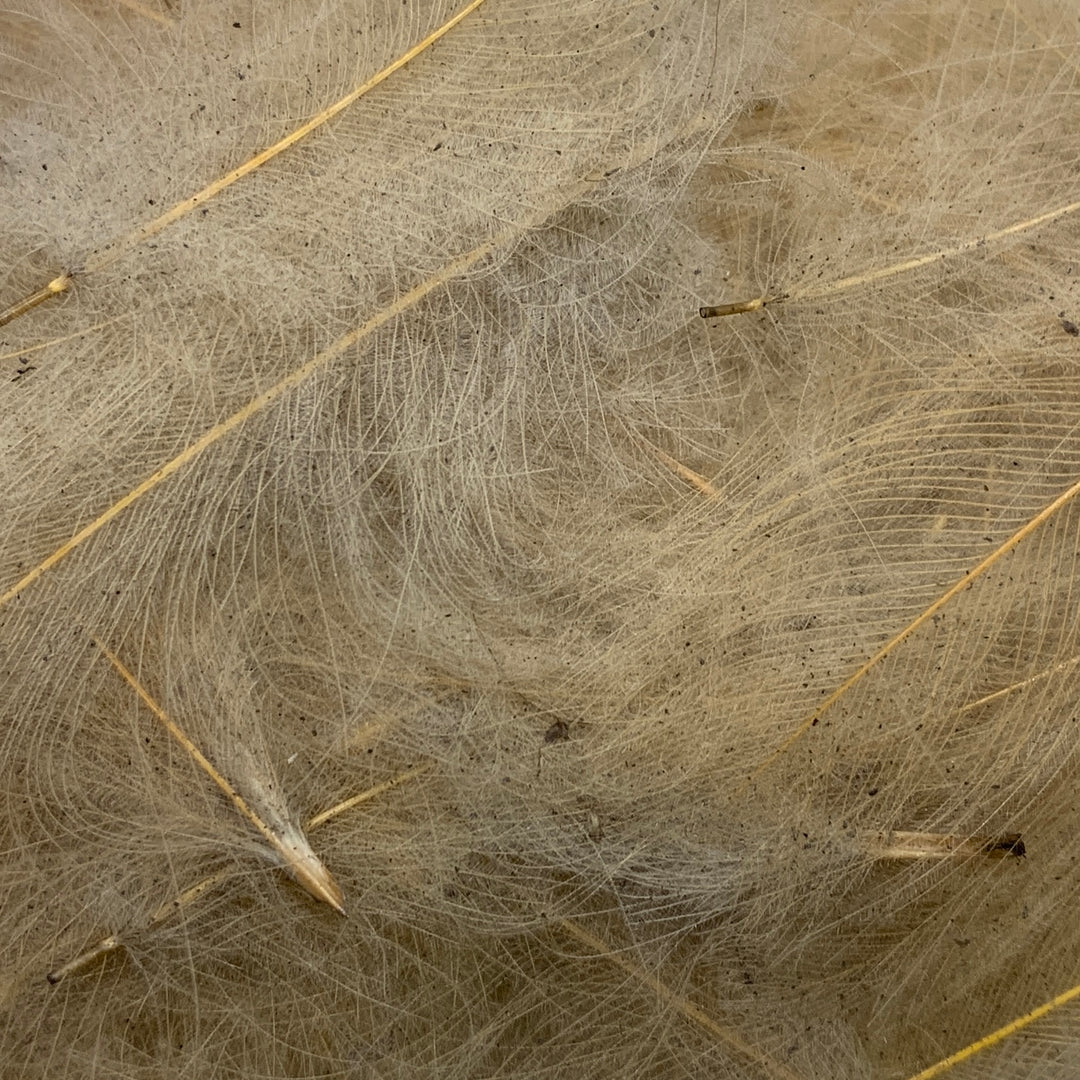 Swiss CDC Ultra Select XL Grade - Feathers &amp; Marabou - Fly Fish Food