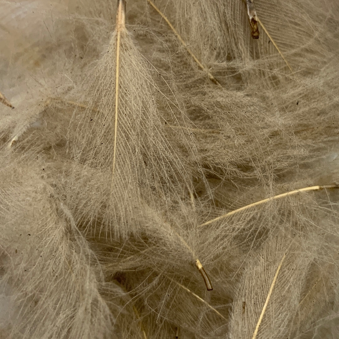 Swiss CDC Super Select Grade - Feathers &amp; Marabou - Fly Fish Food