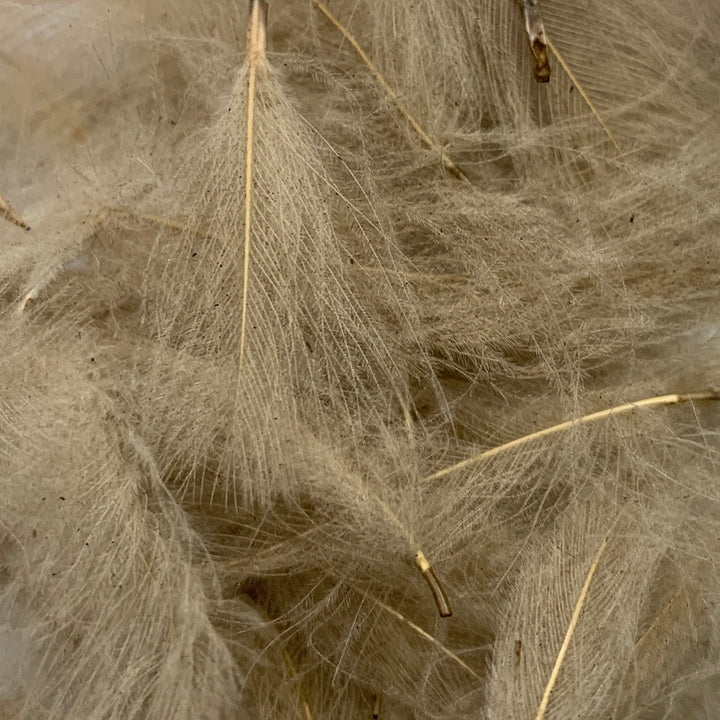 Swiss CDC Super Select Grade - Feathers &amp; Marabou - Fly Fish Food