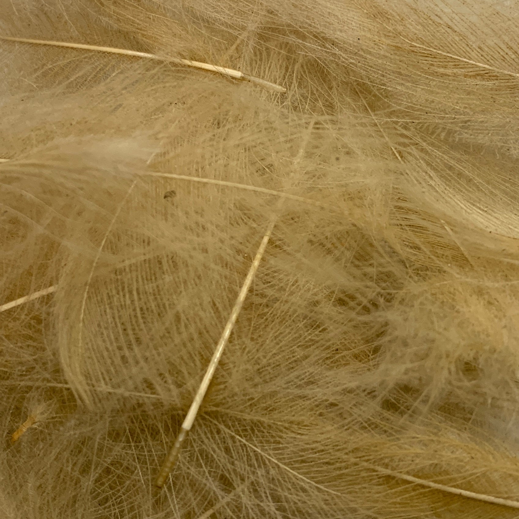 Swiss CDC Ultra Select XL Grade - Feathers & Marabou - Fly Fish Food