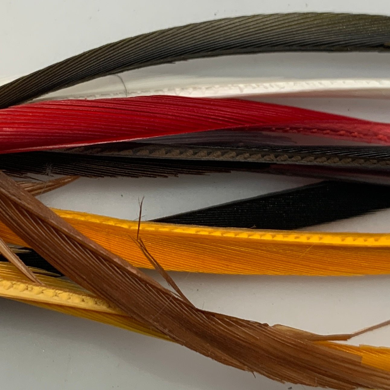 Stripped Goose Biots - Feathers & Marabou - Fly Fish Food