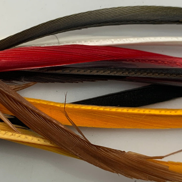 Stripped Goose Biots - Feathers &amp; Marabou - Fly Fish Food