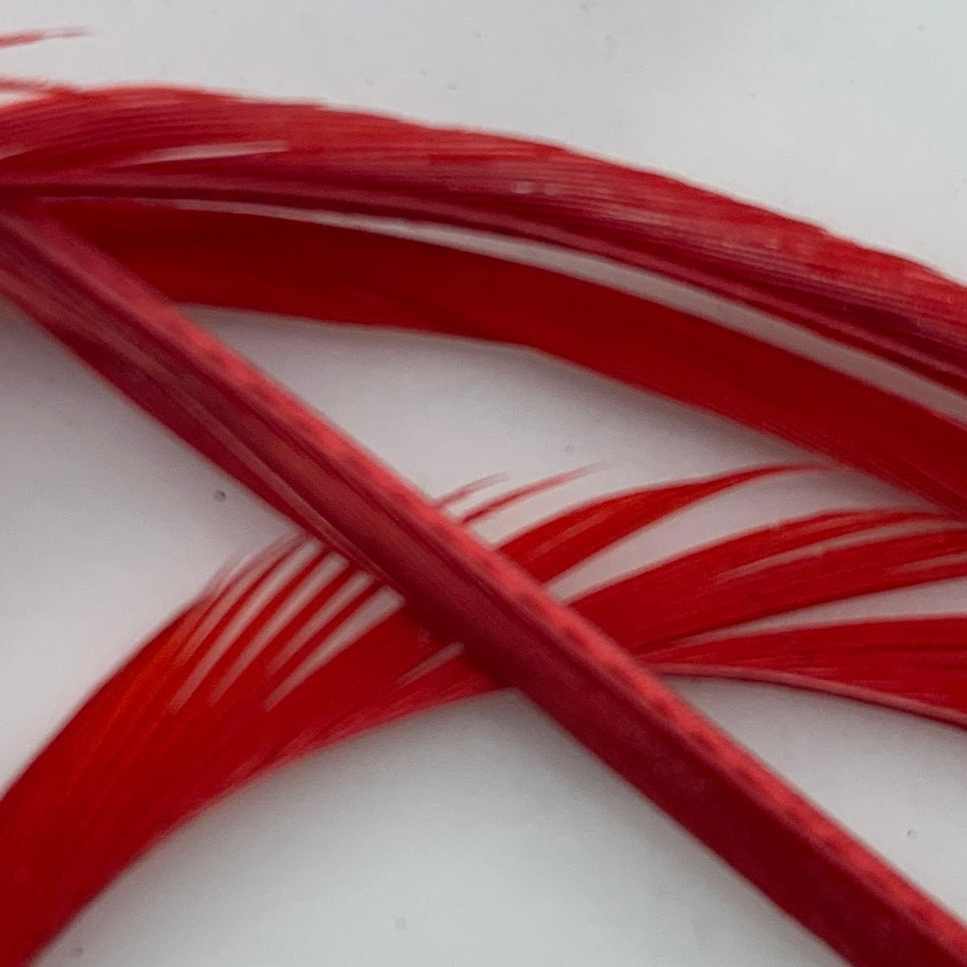 Stripped Goose Biots - Feathers &amp; Marabou - Fly Fish Food