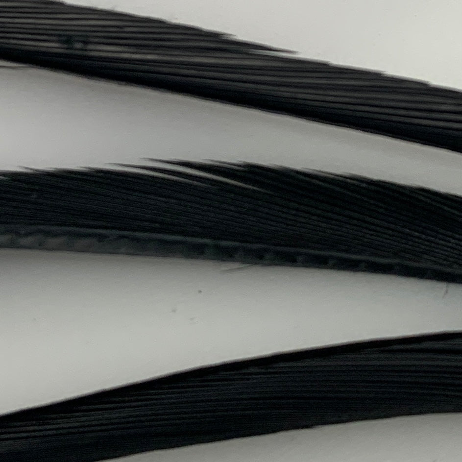 Stripped Goose Biots - Feathers & Marabou - Fly Fish Food