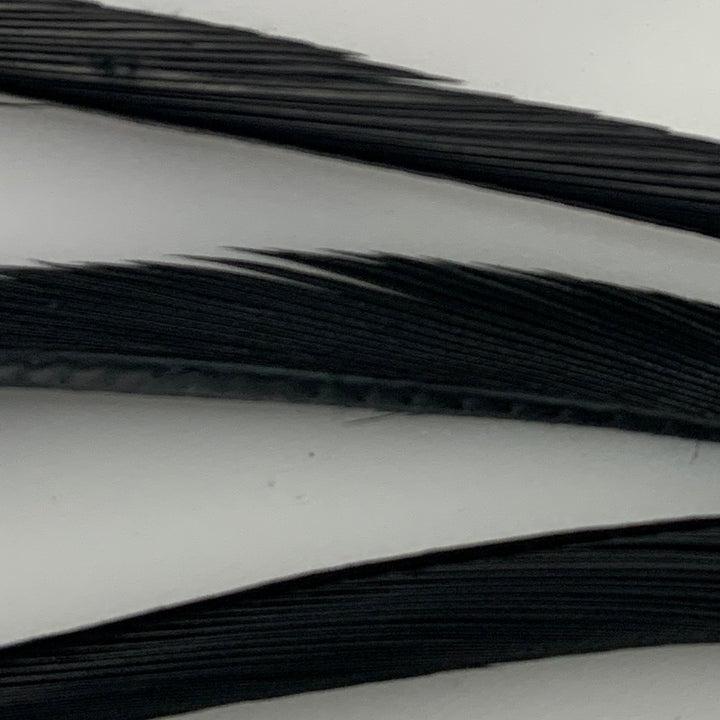 Stripped Goose Biots - Feathers &amp; Marabou - Fly Fish Food