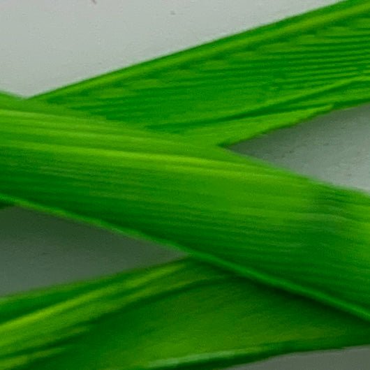 Stripped Goose Biots - Feathers &amp; Marabou - Fly Fish Food