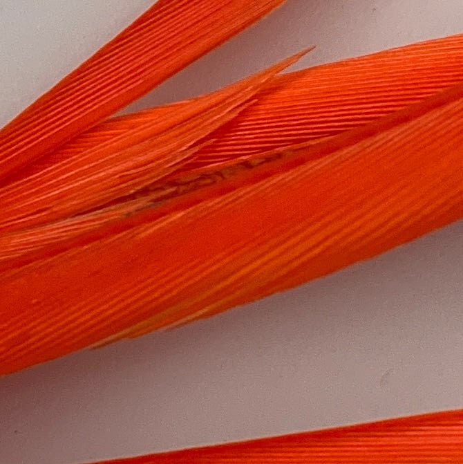 Stripped Goose Biots - Feathers &amp; Marabou - Fly Fish Food