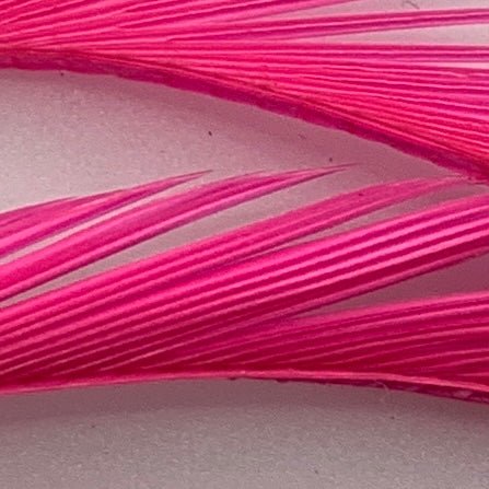 Stripped Goose Biots - Feathers & Marabou - Fly Fish Food
