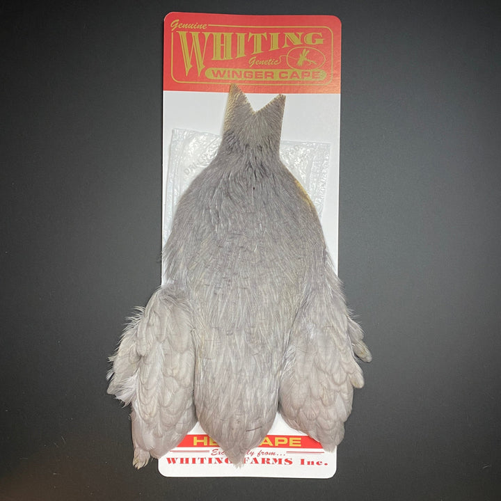 Whiting Winger Cape - Hackle - Fly Fish Food