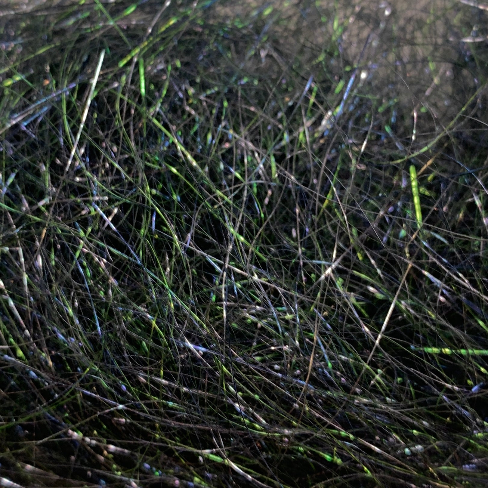 Ice Wing Fiber - Synthetic Fibers & Flash - Fly Fish Food