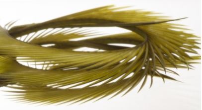 Semperfli Inferno Goose Biots - Feathers & Marabou - Fly Fish Food