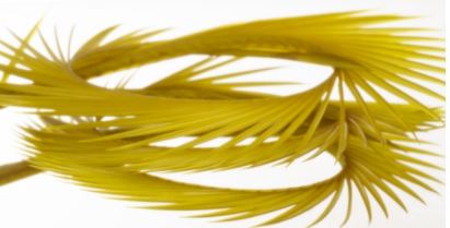 Semperfli Inferno Goose Biots - Feathers & Marabou - Fly Fish Food