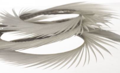 Semperfli Inferno Goose Biots - Feathers & Marabou - Fly Fish Food