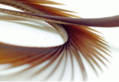 Semperfli Inferno Goose Biots - Feathers & Marabou - Fly Fish Food