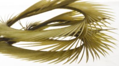 Semperfli Inferno Goose Biots - Feathers & Marabou - Fly Fish Food