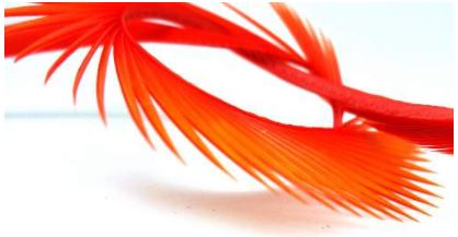 Semperfli Inferno Goose Biots - Feathers & Marabou - Fly Fish Food