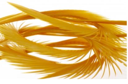 Semperfli Inferno Goose Biots - Feathers & Marabou - Fly Fish Food