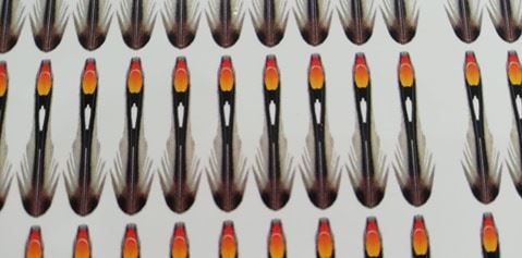 Semperfli Synthetic Jungle Cock Cheeks - Misc. Synthetics - Fly Fish Food