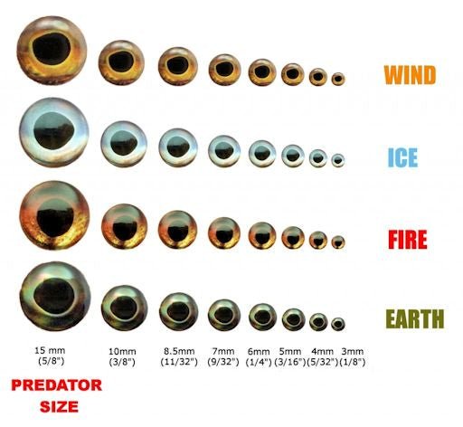Fish Skull Living Eyes - Eyes - Fly Fish Food