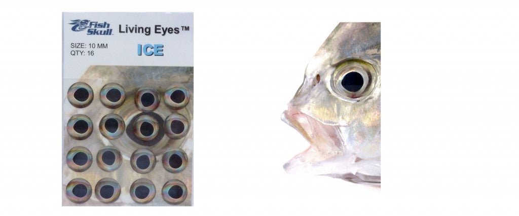 Fish Skull Living Eyes - Eyes - Fly Fish Food