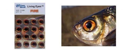 Fish Skull Living Eyes - Eyes - Fly Fish Food