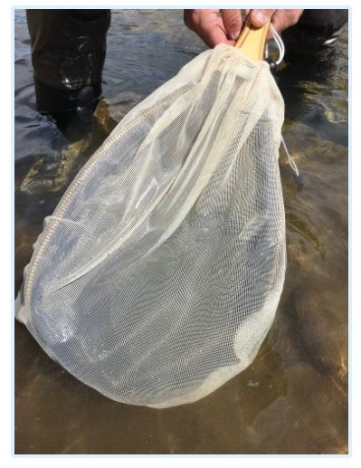 Wind River Gear Landing Net Seine - Accessories & Misc - Fly Fish Food