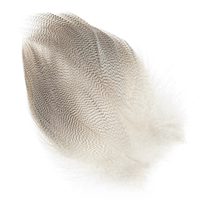 Mallard Barred Flank Large Select - Feathers & Marabou - Fly Fish Food