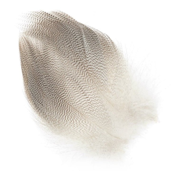 Mallard Barred Flank Large Select - Feathers &amp; Marabou - Fly Fish Food