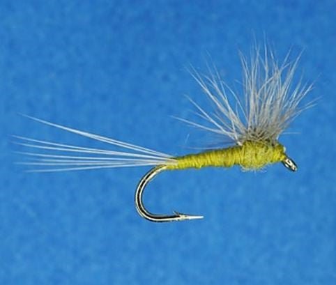 Hackle Stacker Quigley BWO - Flies - Fly Fish Food