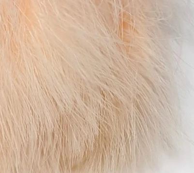 1oz Master Pack: Fish Hunter Premium Strung Marabou - Feathers & Marabou - Fly Fish Food