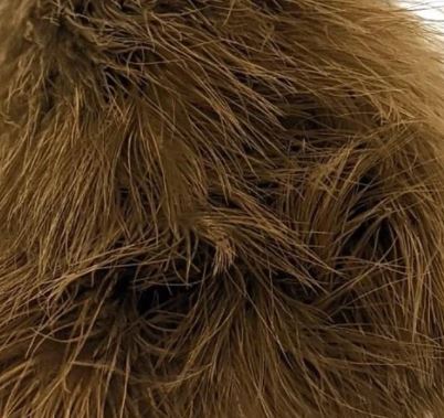 1oz Master Pack: Fish Hunter Premium Strung Marabou - Feathers &amp; Marabou - Fly Fish Food