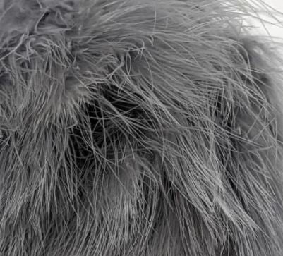 Fish Hunter Premium Strung Marabou - Feathers & Marabou - Fly Fish Food